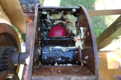 1) Mill the apples (close-up)