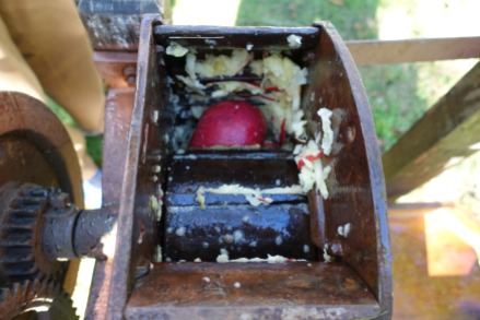 1) Mill the apples (close-up)
